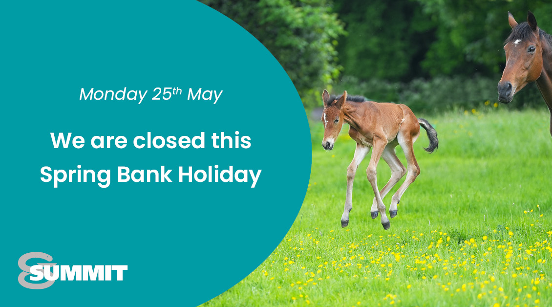 A foal leaping in a field with a message stating that Summit are closed for the Spring bank holiday