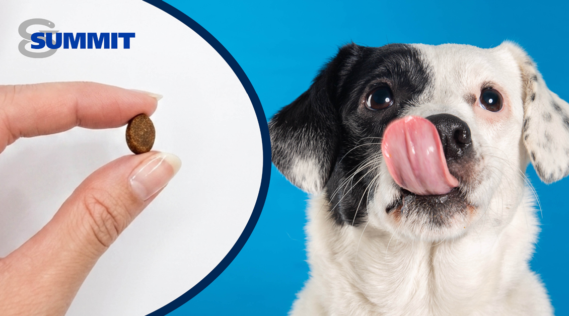 Summit soft chew being held by a hand and a black and white dog licking its lips