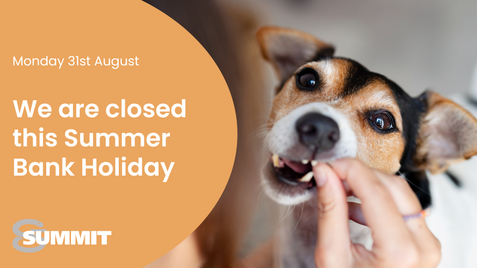A Jack Russell dog gently taking a treat from a persons hand. The text states Summit is closed for the summer Bank Holiday